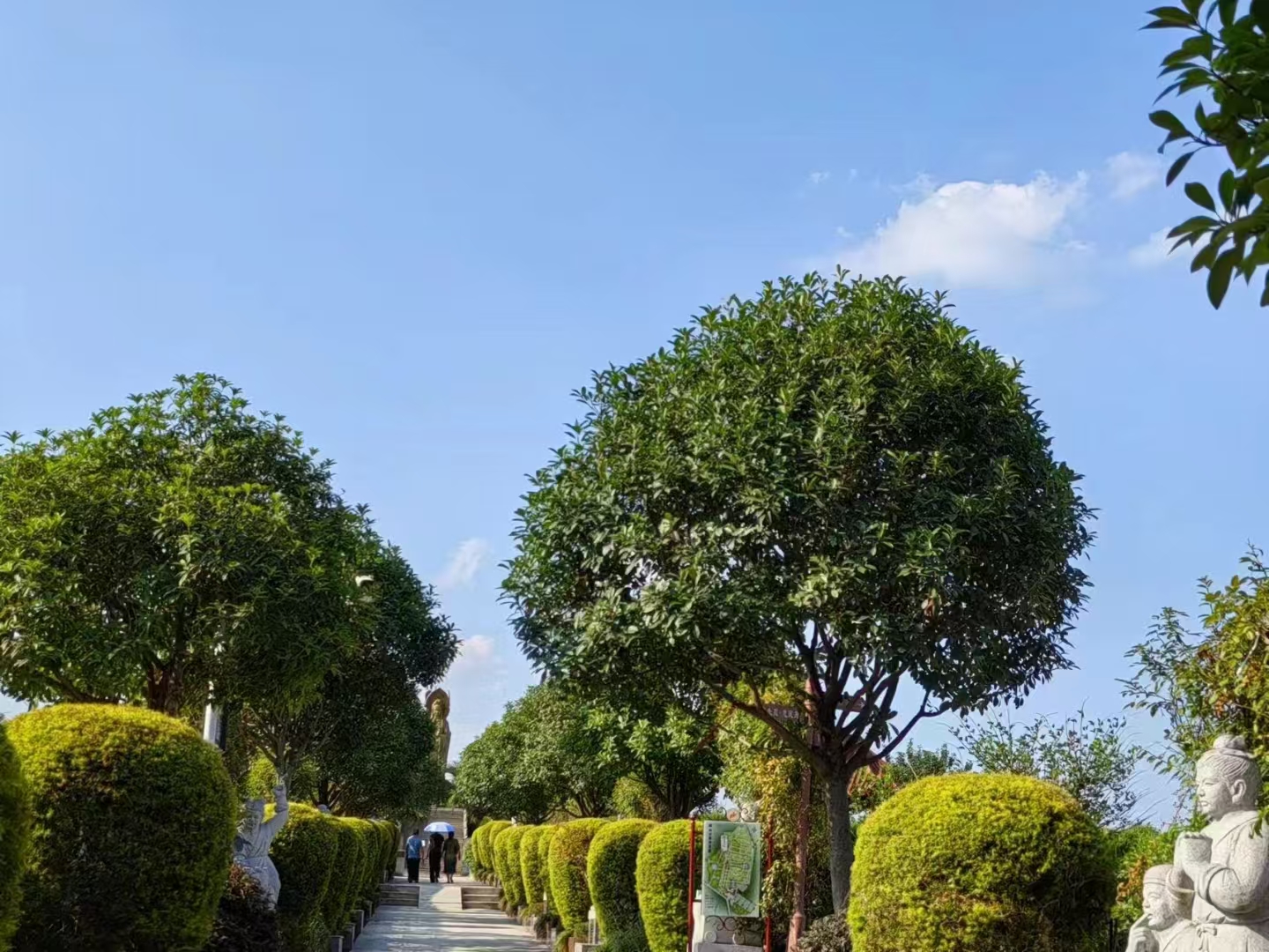 院山公墓实景1